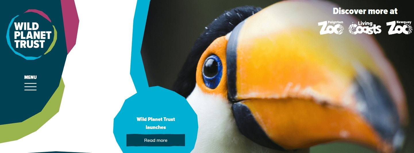 Bigwave media delivers striking Wild Planet Trust website