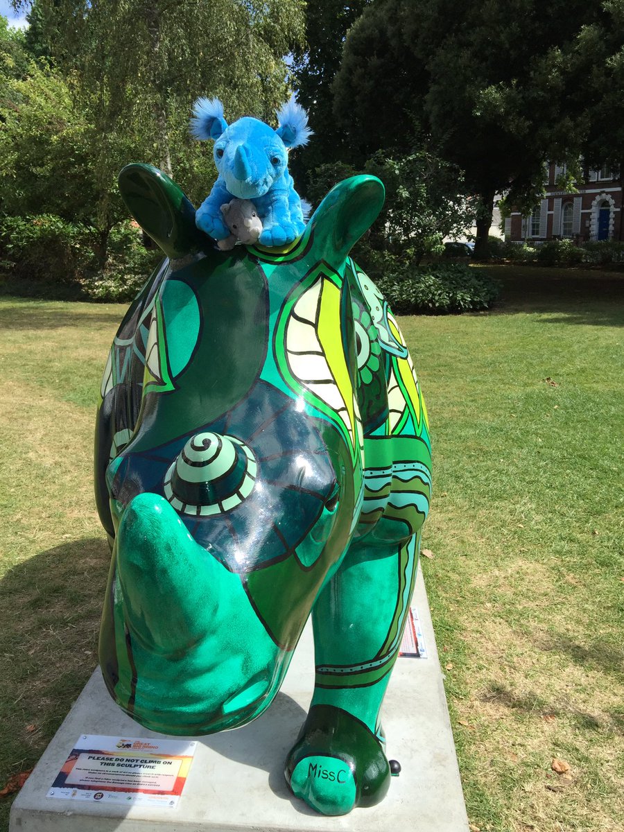 How to save Rhinos – our fun journey so far