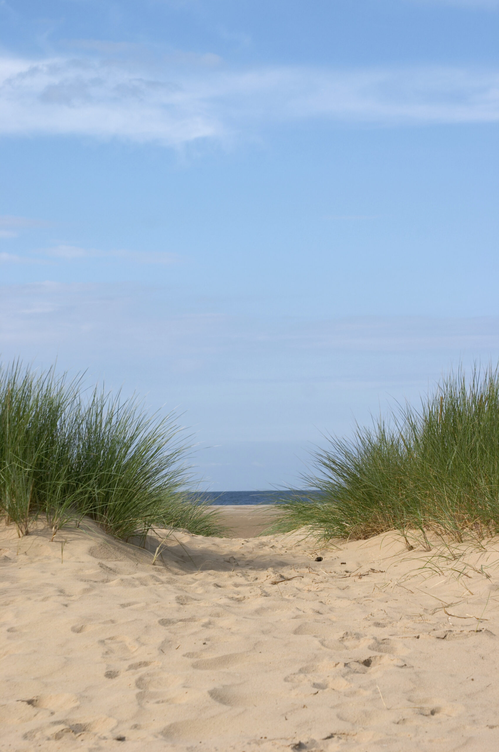 What to do in Devon over the holidays