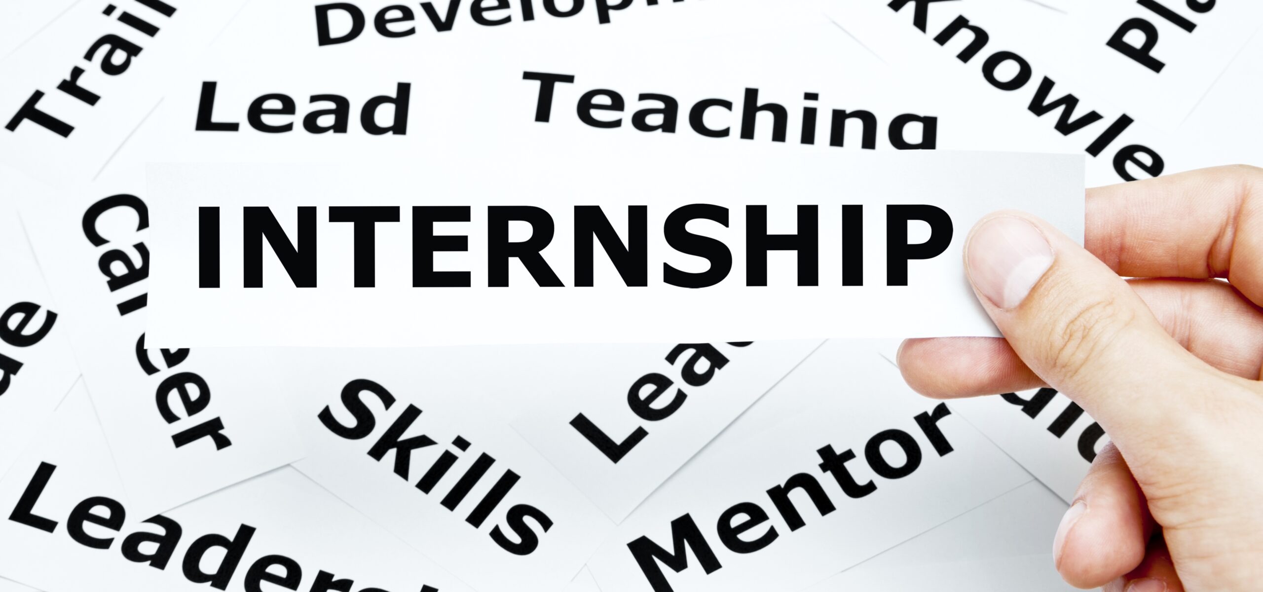 My Placement Year at Bigwave media