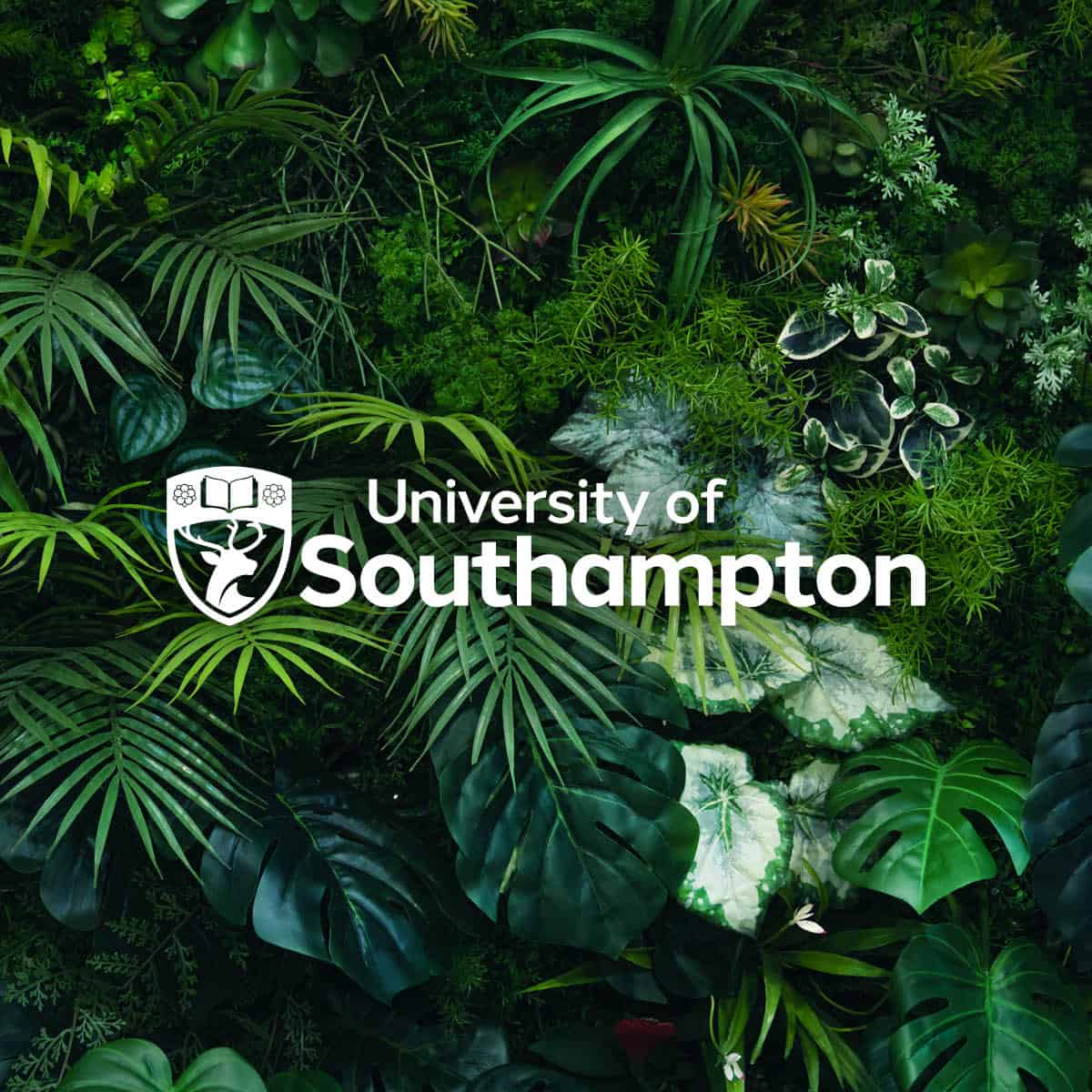 University of Southampton